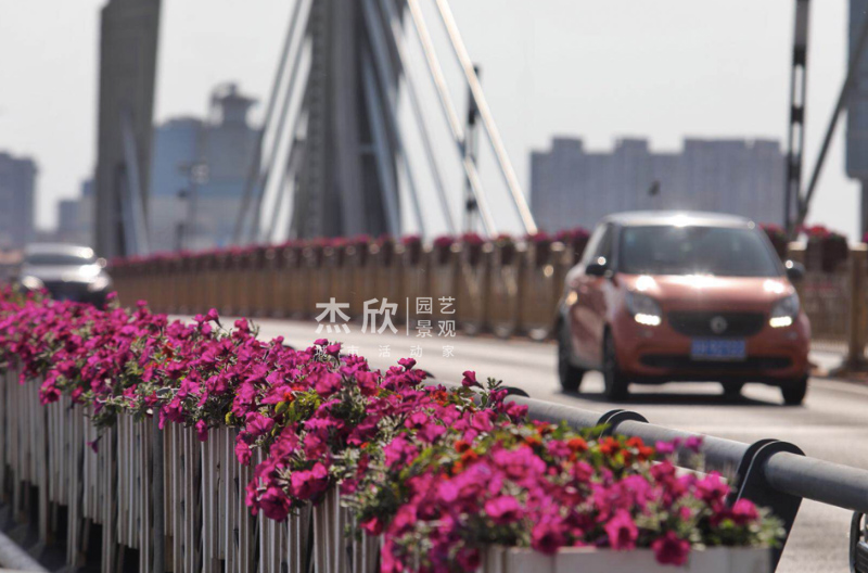 花箱尺寸如何確定？